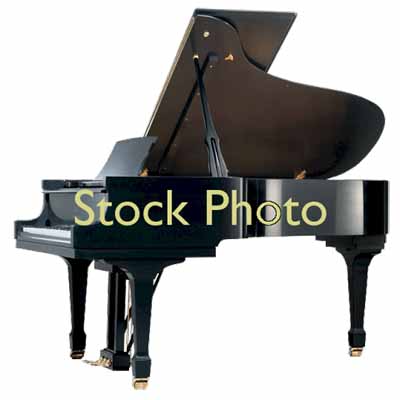 2008 Steinway Model M Grand Piano Preowned