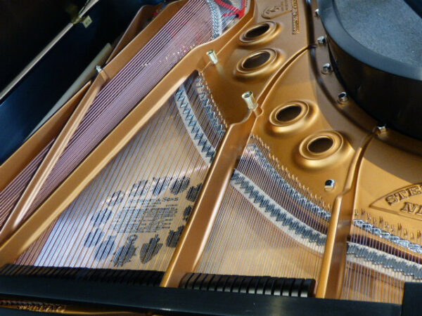 Steinway Model A3 Grand Piano 6’4″ Impeccable Rebuild