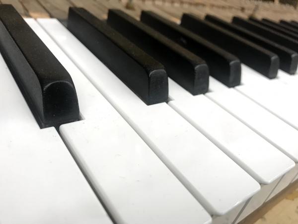 Steinway grand piano key tops