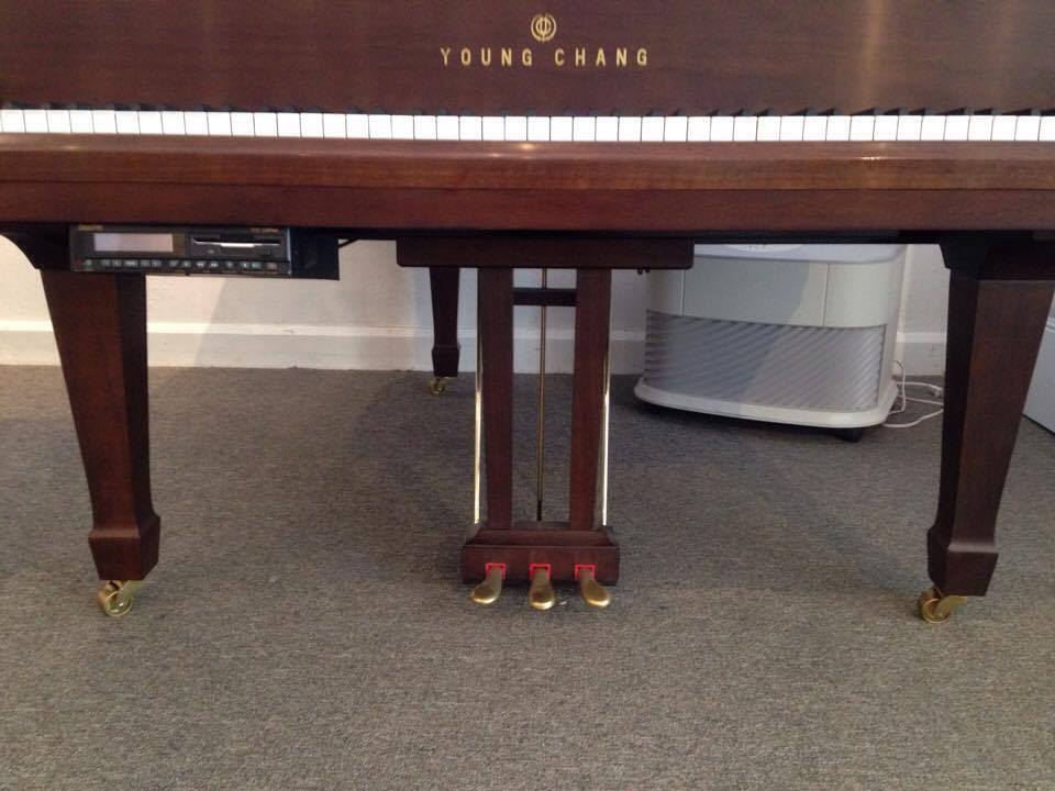 Young Chang Satin Walnut 5’9 Grand Young Chang Satin Walnut 5’9 Grand