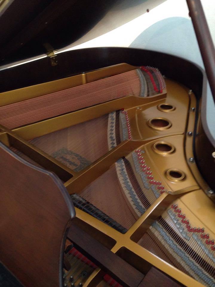Young Chang Satin Walnut 5’9 Grand Young Chang Satin Walnut 5’9 Grand