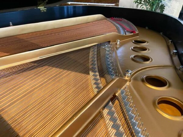 Steinway Model M circa 2010 – Excellent Preowned Steinway