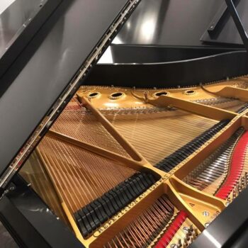 Steinway Model A Grand Piano 6’2″ Ebony Satin – Complete Restoration