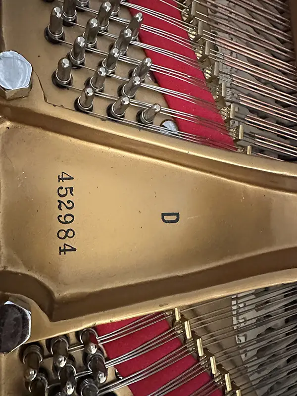 Steinway Model D Performance Build by Wells – Hold