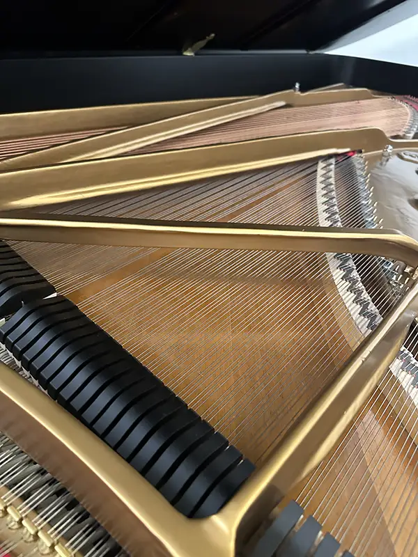 Steinway Model D Performance Build by Wells – Hold