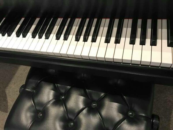 Steinway Model M Grand Piano Dream Restoration – SOLD