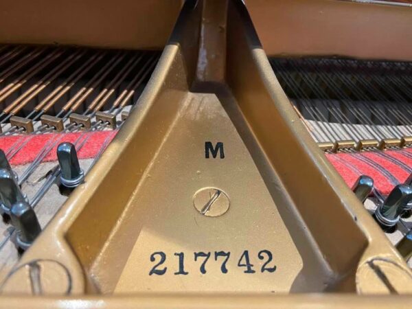 Steinway M – New Action! – SOLD