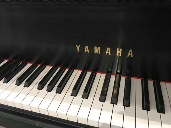 Yamaha 5’3″ Grand Piano – Like NEW SOLD