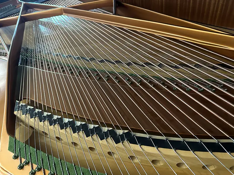 SOLD Bosendorfer Model 290 Imperial Concert Grand 9’6″ preowned SOLD Bosendorfer Model 290 Imperial Concert Grand 9’6″ preowned