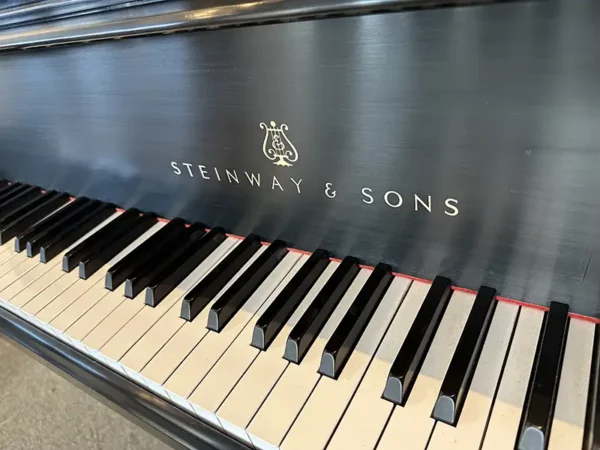 Steinway Model M – Ebony Satin – Excellent Preowned Steinway