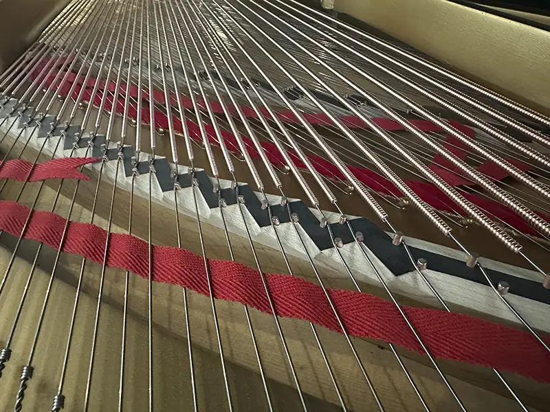 Steinway Model B – comprehensive performance rebuild Steinway Model B – comprehensive performance rebuild